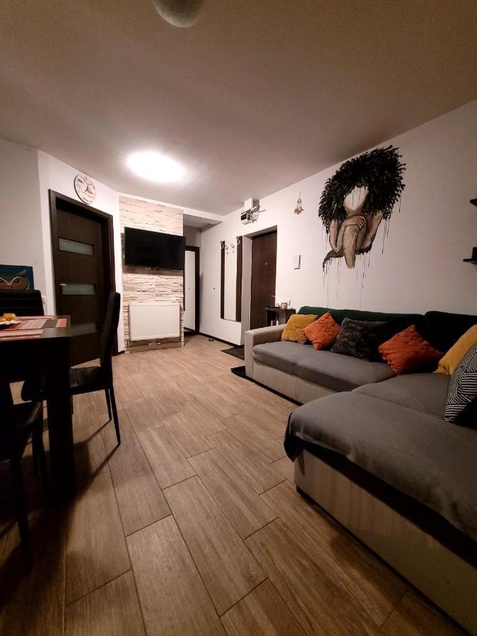 Dds Apartment Braşov Exteriör bild